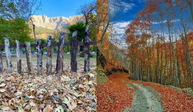 belemedik-dumanli-kapak-1600x900-taslak