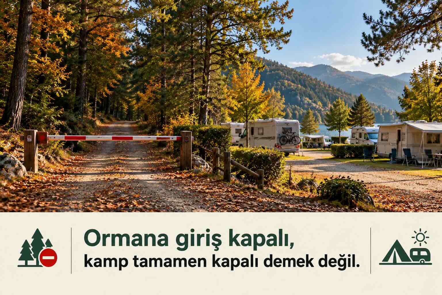 orman giriş